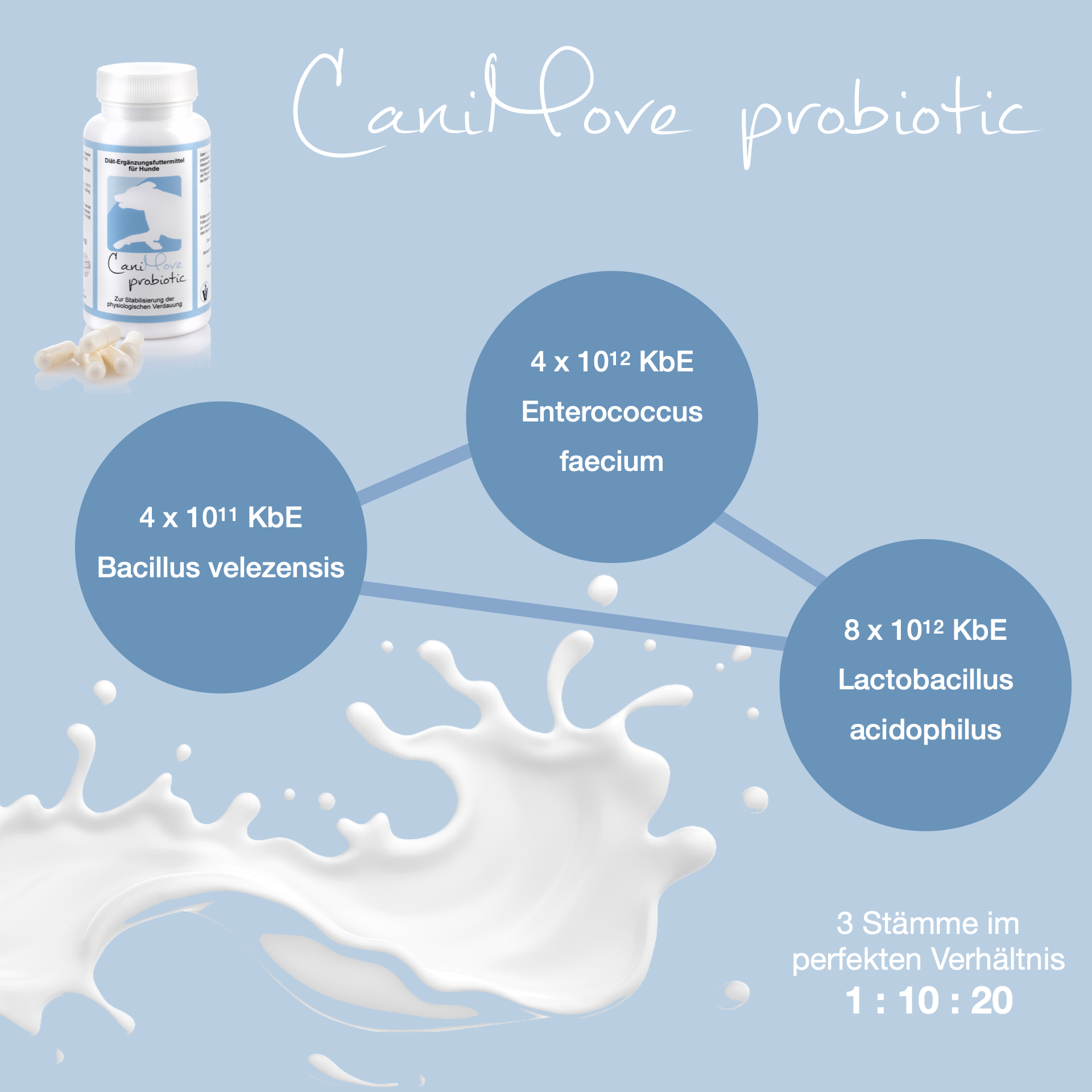 Inhaltsstoffe von CaniMove probiotic