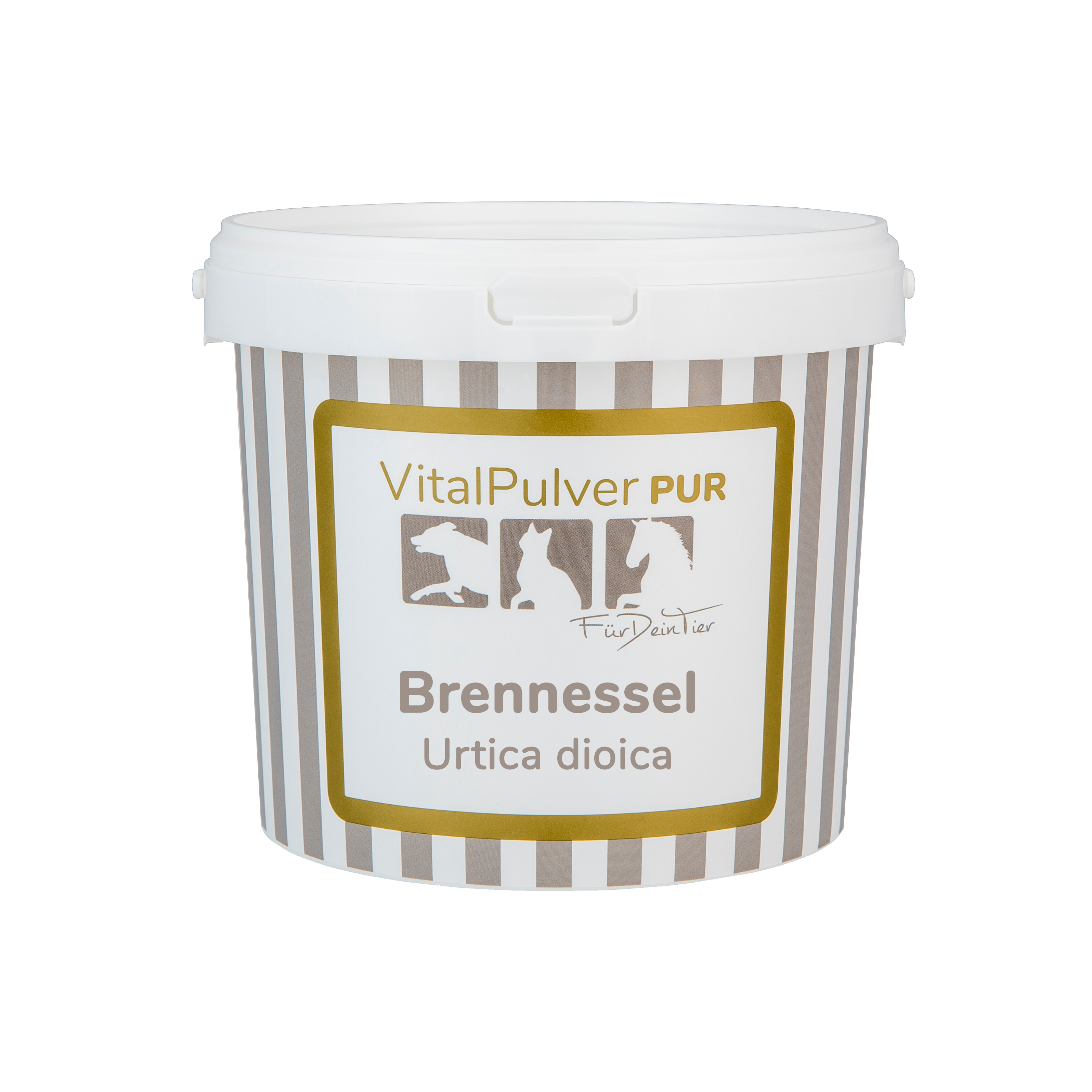 Brennnessel