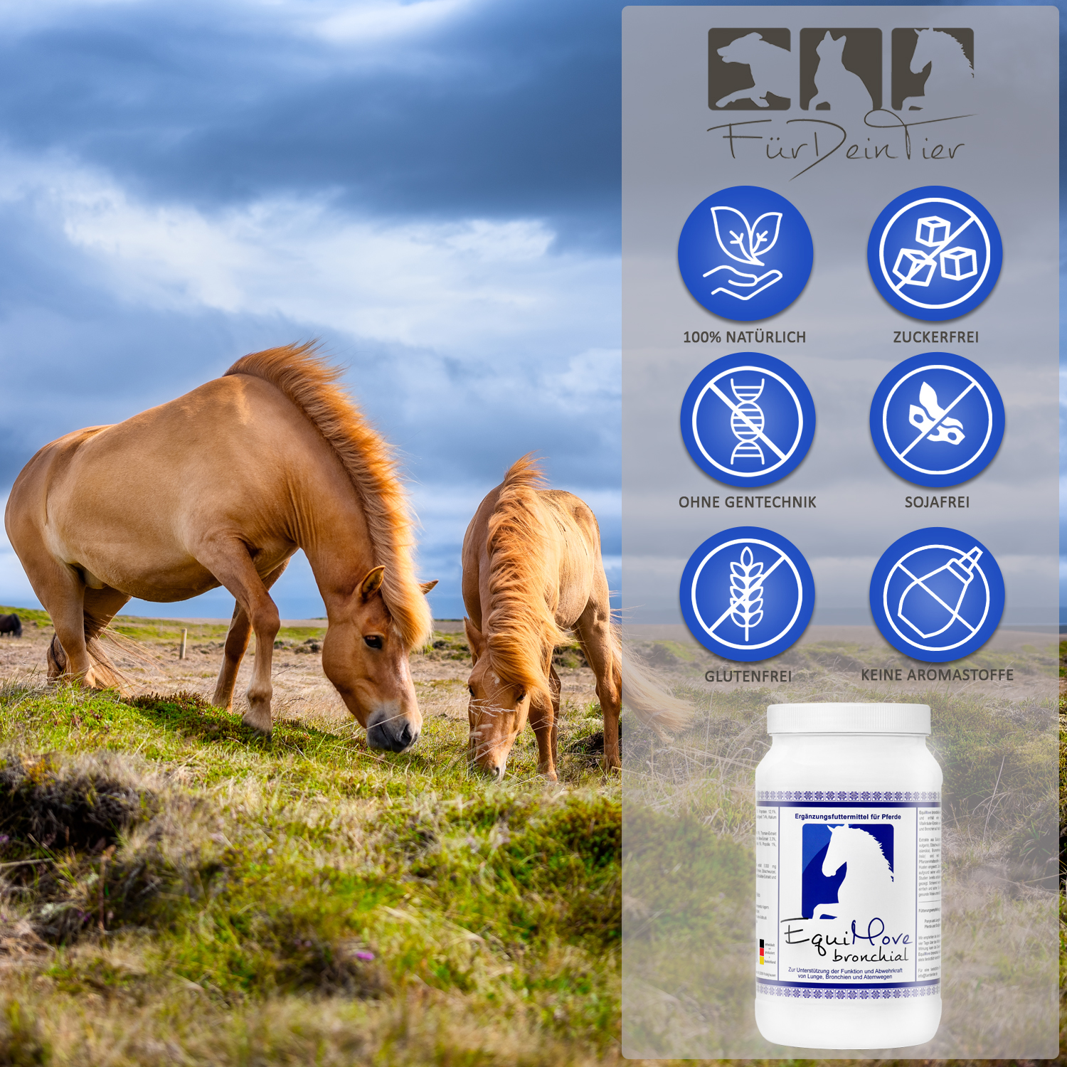 Vorteile von EquiMove bronchial