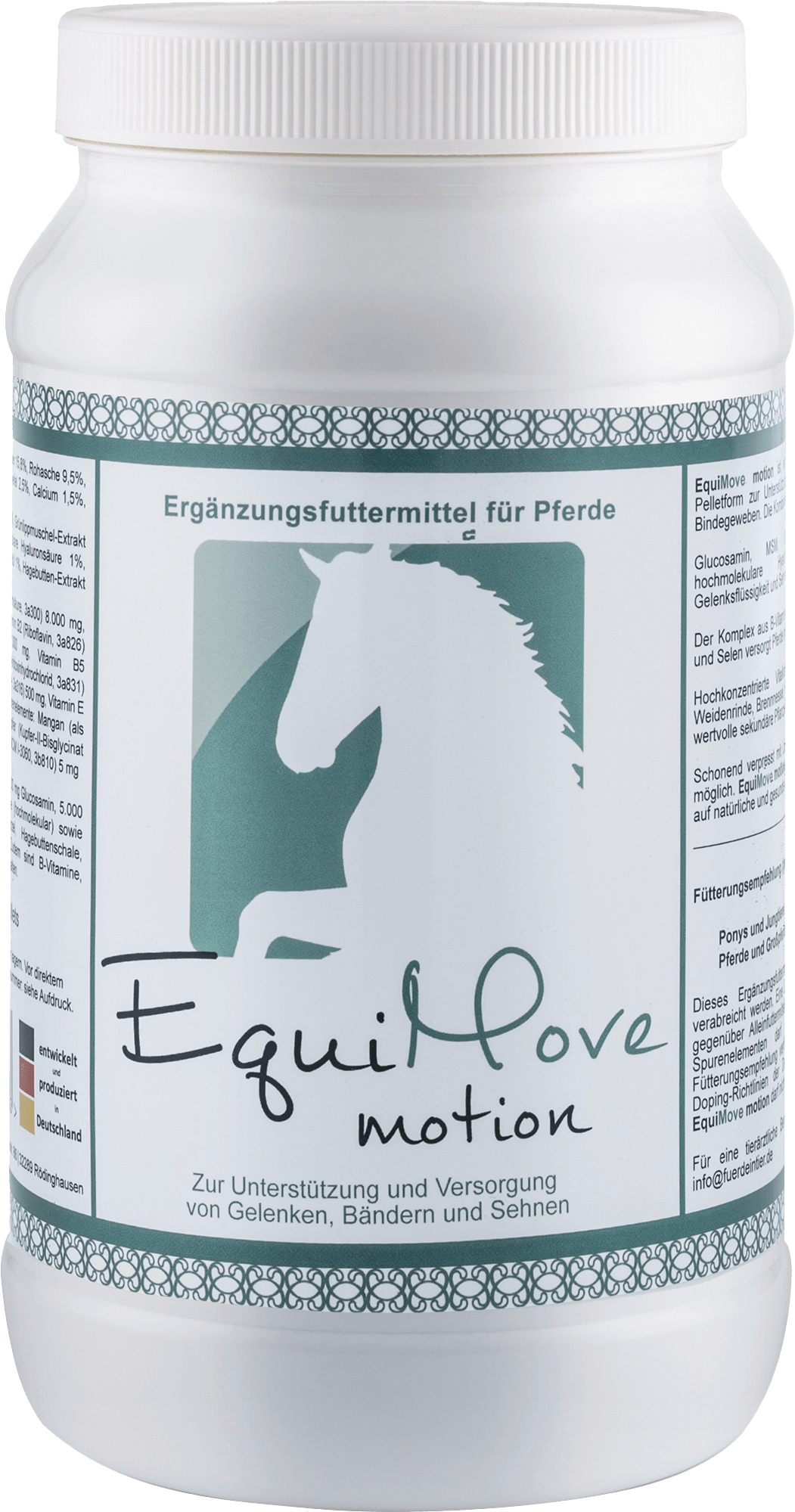 EquiMove motion