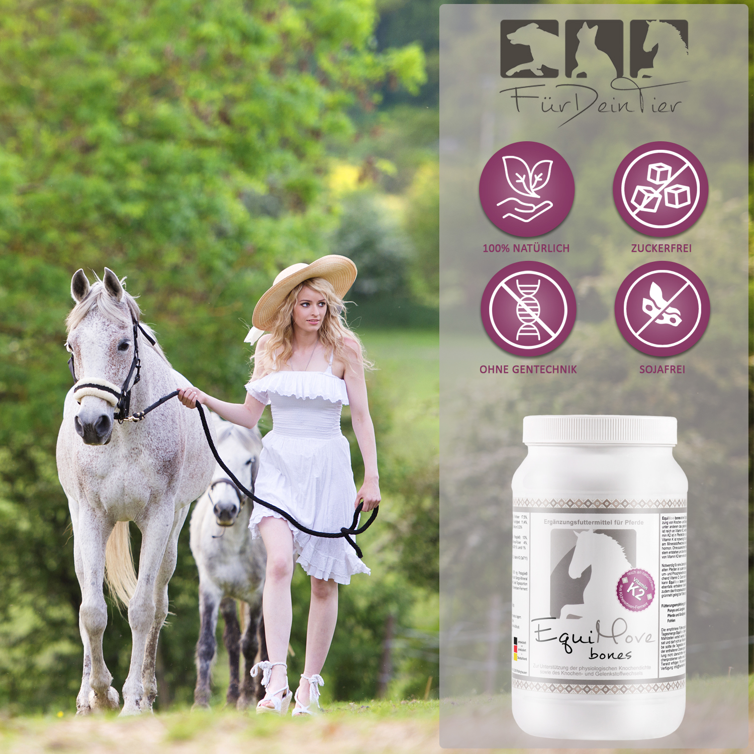 Vorteile von EquiMove bones