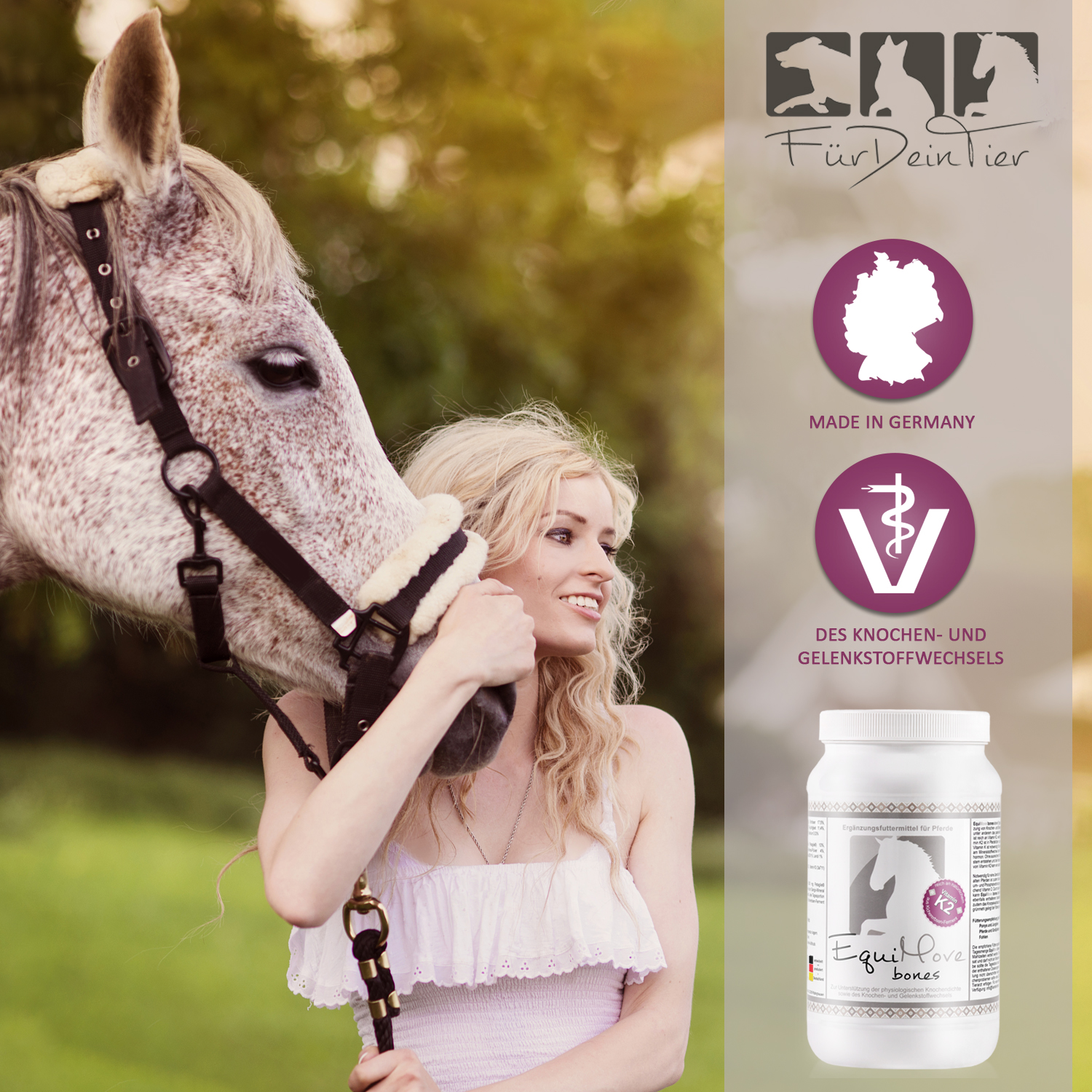 Herstellung von EquiMove bones