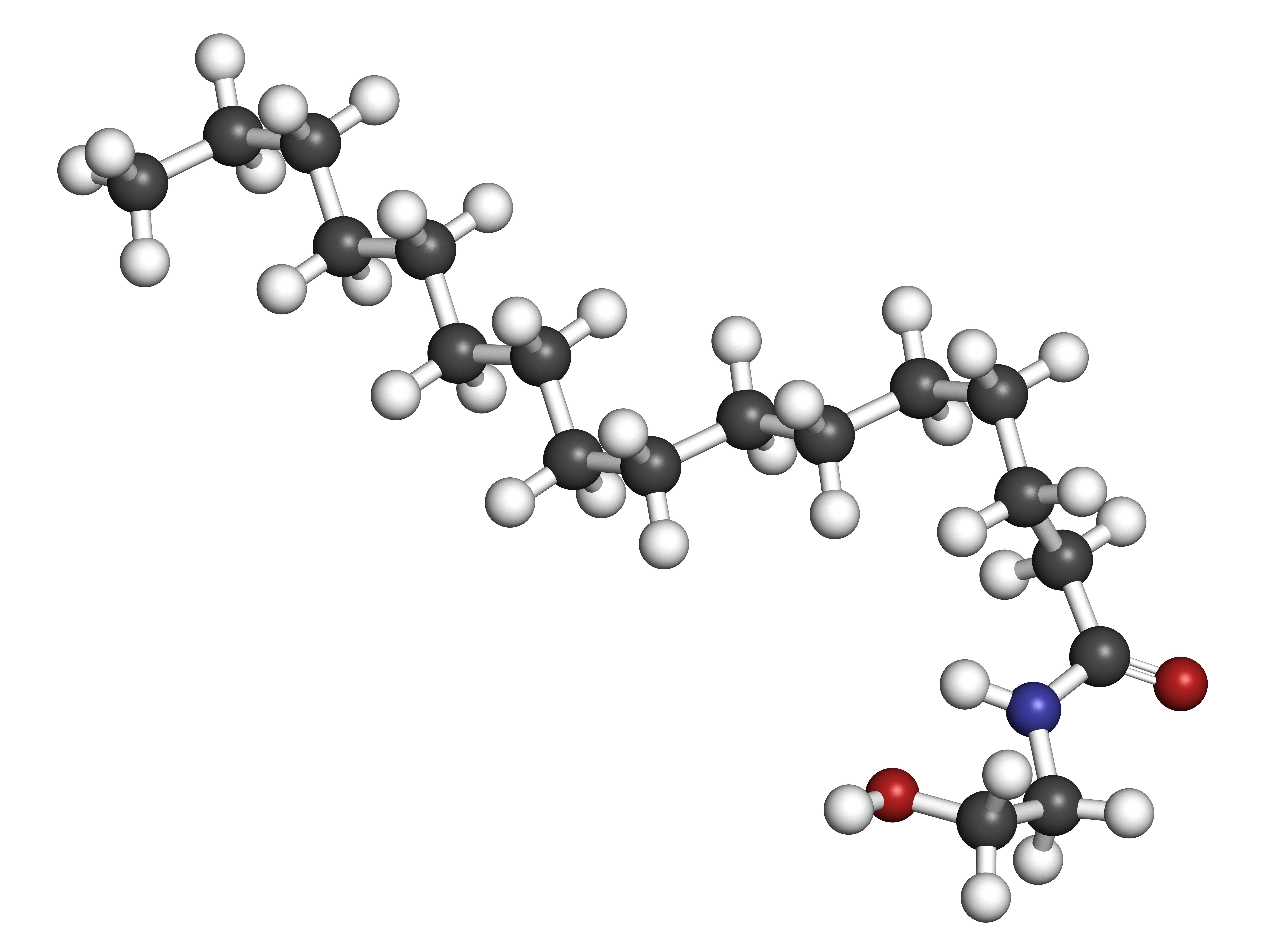 Starke Gelenke, kräftiges Immunsystem? Palmitoylethanolamid (PEA) für Pferde