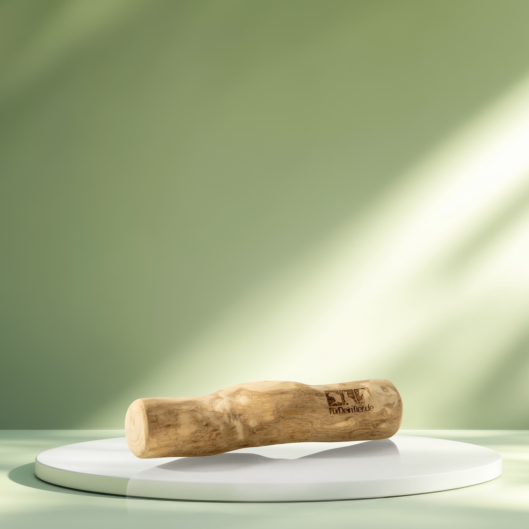 Kaustab_Praesentation_XS