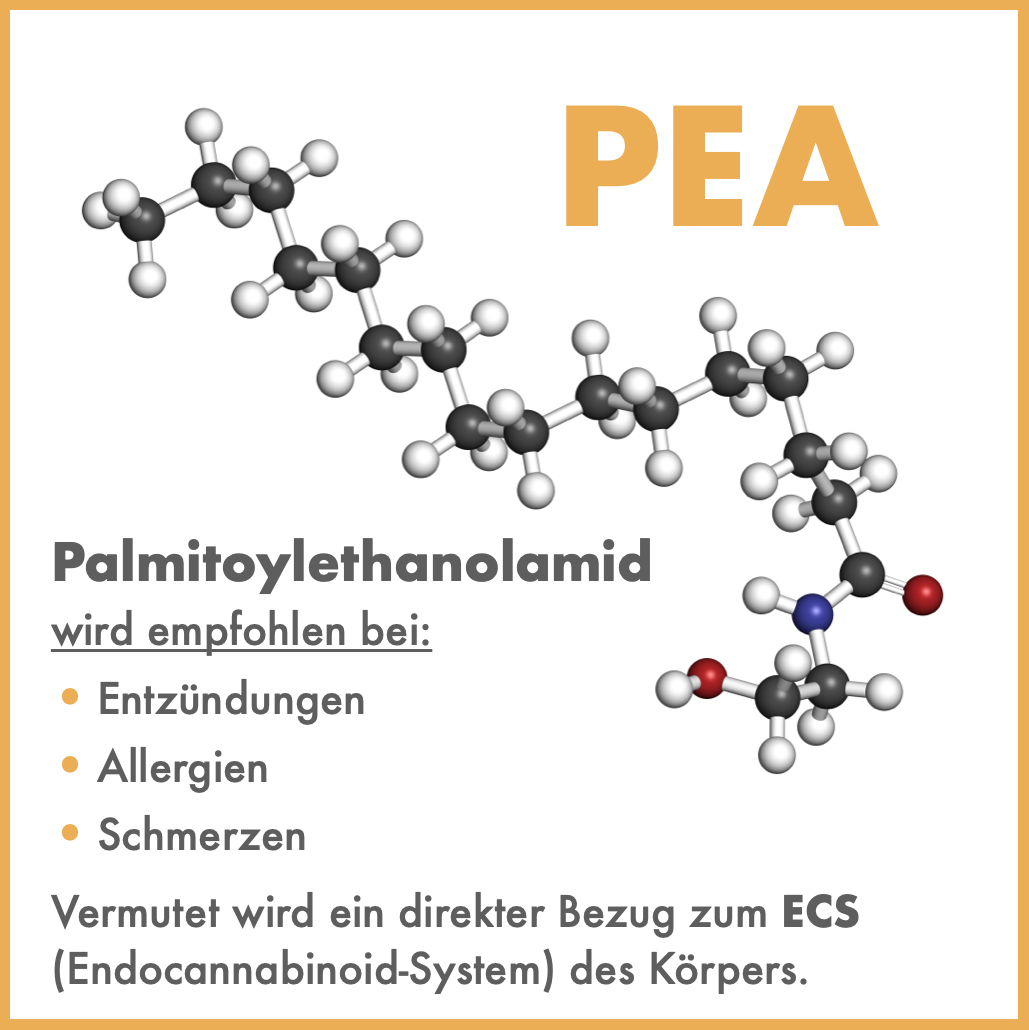 PEA (Pamitoylethanolamid)